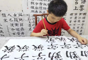 �Ϻ��ٶ���ѧ�鷨��ѵ