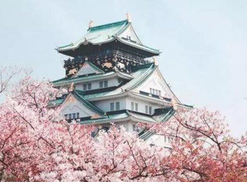 �Ϻ��߿���ѧ������ѵ��