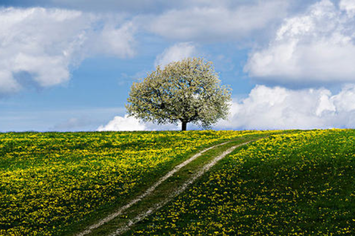 �Ϻ�Ӣ�����幫ѧ��ѧ