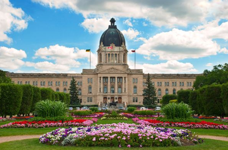 ������˼����������ѵ��