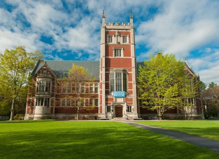 ������˼�������ѵ��