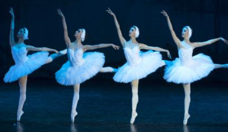 �����׶�������С����ѵ