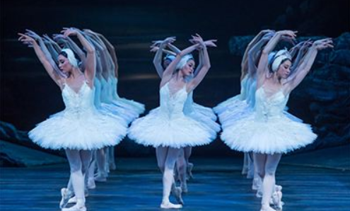 �����׶��������������