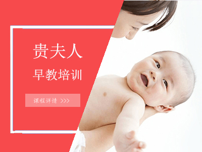 �������ʦ��ѵ