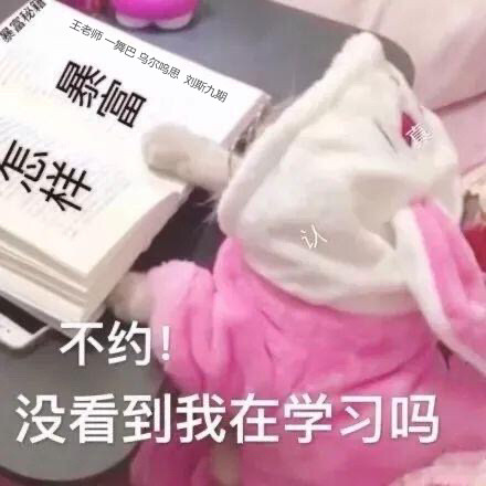 �γ�����һ����רת��������