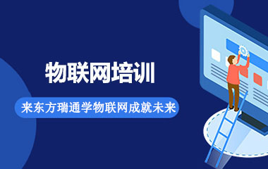 ������������Ŀʵս��ѵ�γ�